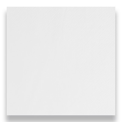 Napkins White 33cm 2 Ply   cs 2000