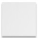 Napkins White 33cm 2 Ply   cs 2000